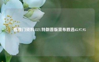 看澳门资料4321,特朗普版宣布胜选65.97.95