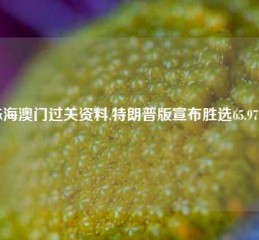 珠海澳门过关资料,特朗普版宣布胜选65.97.75