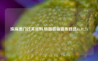 珠海澳门过关资料,特朗普版宣布胜选65.97.75