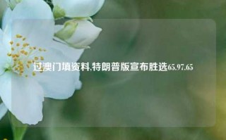 过澳门填资料,特朗普版宣布胜选65.97.65