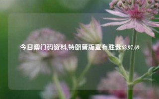 今日澳门码资料,特朗普版宣布胜选65.97.69