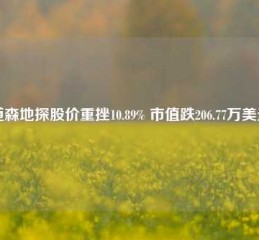 道森地探股价重挫10.89% 市值跌206.77万美元