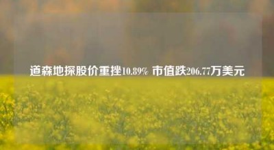 道森地探股价重挫10.89% 市值跌206.77万美元