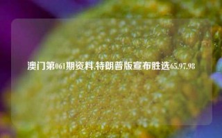 澳门第061期资料,特朗普版宣布胜选65.97.98