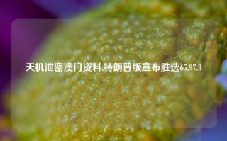 天机泄密澳门资料,特朗普版宣布胜选65.97.8