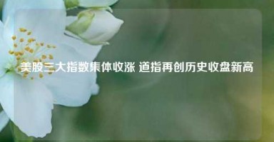 美股三大指数集体收涨 道指再创历史收盘新高