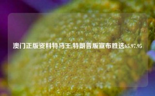 澳门正版资料特马王,特朗普版宣布胜选65.97.95