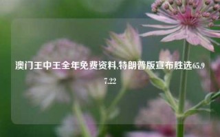 澳门王中王全年免费资料,特朗普版宣布胜选65.97.22