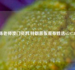 陈老师澳门资料,特朗普版宣布胜选65.97.89