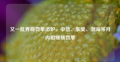 又一批券商罚单出炉，中信、东吴、渤海等月内相继领罚单