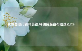 我想要澳门资料英语,特朗普版宣布胜选65.97.9