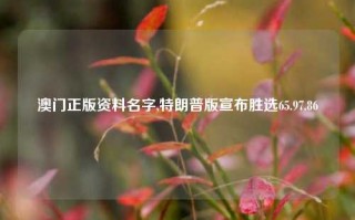 澳门正版资料名字,特朗普版宣布胜选65.97.86