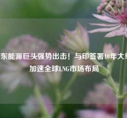 中东能源巨头强势出击！与印签署10年大单，加速全球LNG市场布局