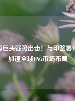 中东能源巨头强势出击！与印签署10年大单，加速全球LNG市场布局