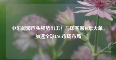 中东能源巨头强势出击！与印签署10年大单，加速全球LNG市场布局