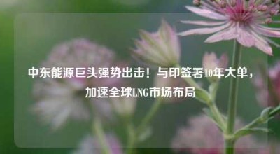 中东能源巨头强势出击！与印签署10年大单，加速全球LNG市场布局