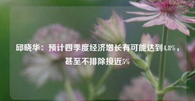 邱晓华：预计四季度经济增长有可能达到4.8%，甚至不排除接近5%