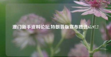 澳门新手资料论坛,特朗普版宣布胜选65.97.7