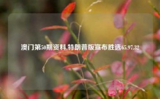 澳门第50期资料,特朗普版宣布胜选65.97.32