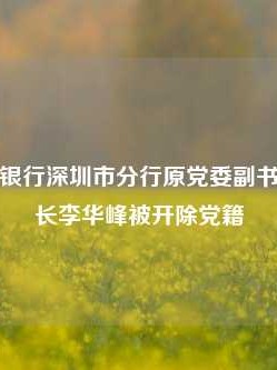 中国建设银行深圳市分行原党委副书记、副行长李华峰被开除党籍