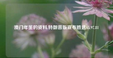 澳门年鉴的资料,特朗普版宣布胜选65.97.81