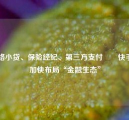 网络小贷、保险经纪、第三方支付⋯⋯快手正加快布局“金融生态”