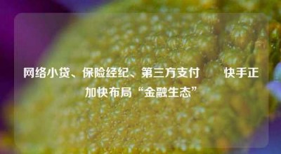 网络小贷、保险经纪、第三方支付⋯⋯快手正加快布局“金融生态”