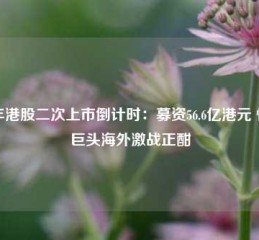 顺丰港股二次上市倒计时：募资56.6亿港元 快递巨头海外激战正酣