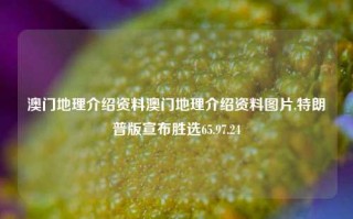 澳门地理介绍资料澳门地理介绍资料图片,特朗普版宣布胜选65.97.24