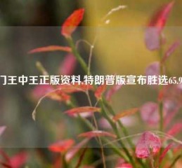 澳门王中王正版资料,特朗普版宣布胜选65.97.88