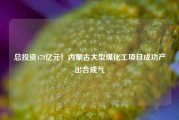 总投资478亿元！内蒙古大型煤化工项目成功产出合成气