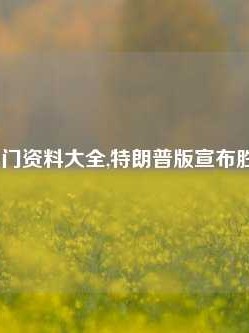 刘伯温澳门资料大全,特朗普版宣布胜选65.97.38