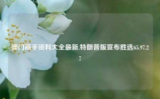 澳门高手资料大全最新,特朗普版宣布胜选65.97.27