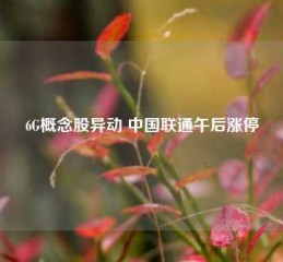 6G概念股异动 中国联通午后涨停