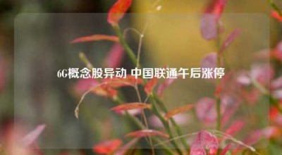 6G概念股异动 中国联通午后涨停