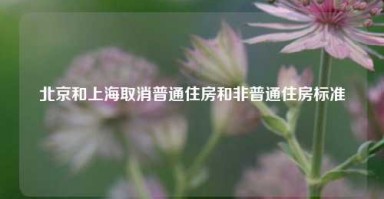 北京和上海取消普通住房和非普通住房标准