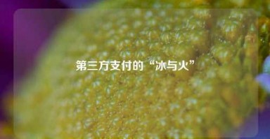 第三方支付的“冰与火”