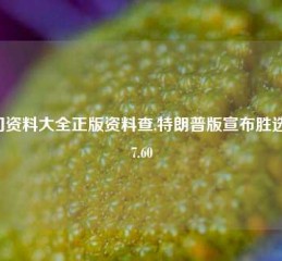 澳门资料大全正版资料查,特朗普版宣布胜选65.97.60