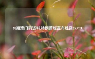 93期澳门码资料,特朗普版宣布胜选65.97.9