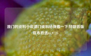 澳门的资料小说澳门资料给我看一下,特朗普版宣布胜选65.97.15