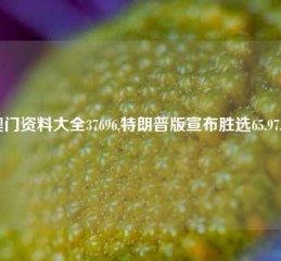 澳门资料大全37696,特朗普版宣布胜选65.97.26