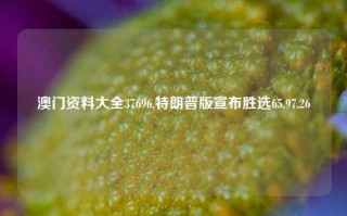 澳门资料大全37696,特朗普版宣布胜选65.97.26