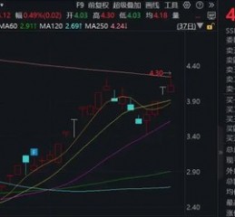 大牛股，突发！实控人被留置并立案