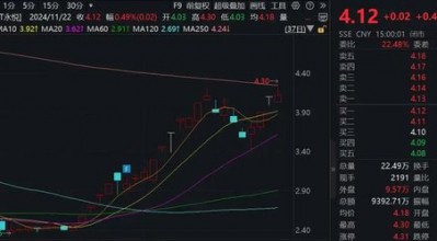 大牛股，突发！实控人被留置并立案