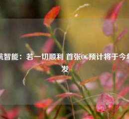 亿航智能：若一切顺利 首张OC预计将于今年颁发