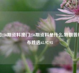 澳门236期资料澳门236期资料是什么,特朗普版宣布胜选65.97.93