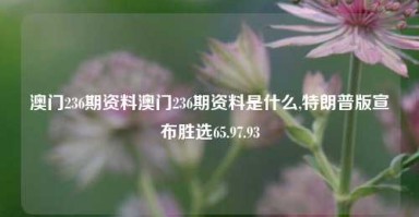 澳门236期资料澳门236期资料是什么,特朗普版宣布胜选65.97.93