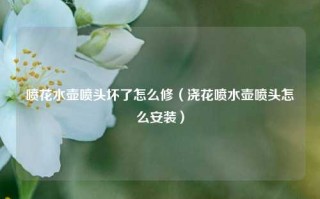 喷花水壶喷头坏了怎么修（浇花喷水壶喷头怎么安装）