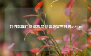 刘伯温澳门彩资料,特朗普版宣布胜选65.97.40