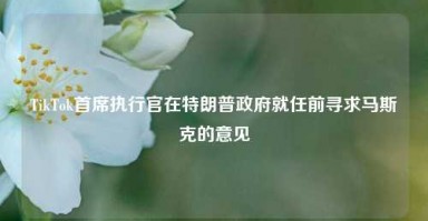 TikTok首席执行官在特朗普政府就任前寻求马斯克的意见